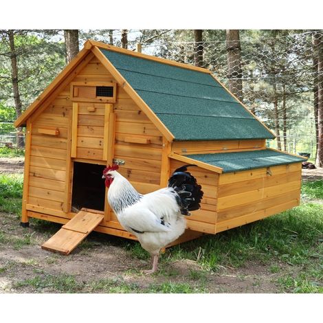 Animal Valley – Grand poulailler XXL 15 à 18 poules – Toit en shingle vert étanche – Panneaux en bois traité 12 mm – 4 box de nidification et perchoirs (1/5)