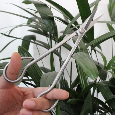 195 mm Edelstahl-Knospenschere – Hochwertiges Werkzeug für die Bonsai-Gestaltung (1/5)