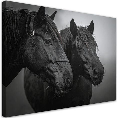 Image sur Toile, Têtes de chevaux noirs animaux nature,30x20 (1/4)