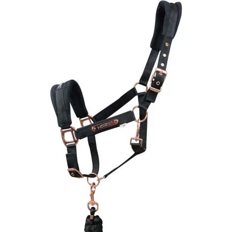Full, Blu: Cavezza per cavalli modello Dream in nylon doppio con inserti in pile completa di lunghina (1/4)