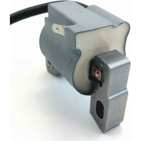 Bobine d'allumage Briggs & Stratton 796500, bobine haute tension pour moteurs de la série Quantum, pièce de rechange d'origine. (1/5)