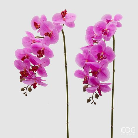 EDG Enzo De Gasperi Orchidea Phalaenopsis Real Ramo Artificiale Ass. H 76 Cm Fuchsia 1 Pz