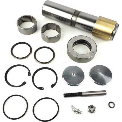 Kit de reparación de pivote Renault  5000792140, 5010056002S, 5010439415, 5010630994, 7485135013