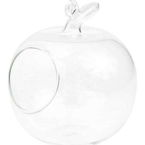 Vase Hydroponique en Verre Forme De Pomme Conteneur DéCoratif pour Micro Paysage Et Culture Indoor Maison Bureau 12Cm