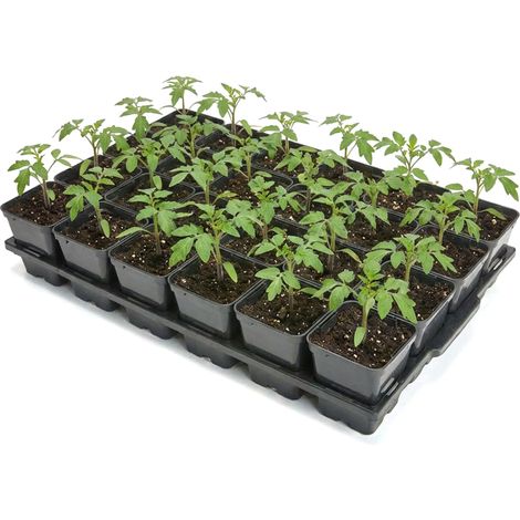 Garronda Kit de Semis Plateau 24 Trous avec Godets Ronds 0,5 L - Plateau de Semis Plastique PP Réutilisable Serre Jardin Intérieur Extérieur Horticulture Repiquage Culture Plantation GD-0208 Noir