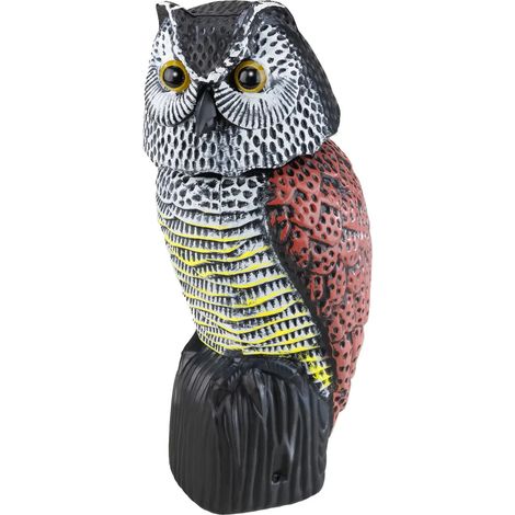 Hibou oscillant au vent