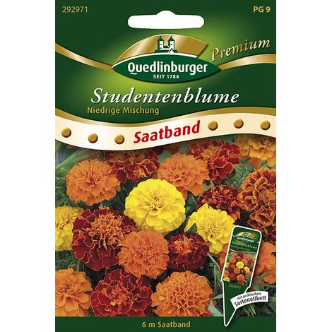 Quedlinburger Saatgut – Tagète nain, mélange – Ruban de semis de 6 mètres, graines de fleurs, œillets d'Inde nains, hauteur env. 25 cm