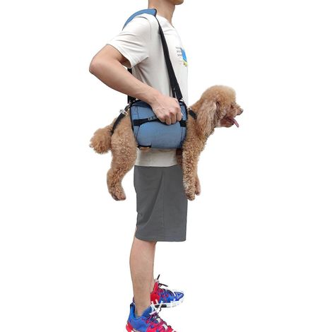 Harnais de transport pour chien, soutien des pattes et rééducation, noir ou bleu, aide à la toilette (1/5)