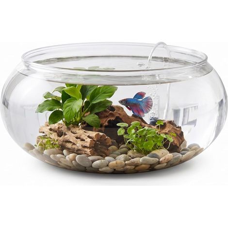 Vase à fleurs rond en verre avec large ouverture pour terrarium, plantes succulentes, hydroponique, pot de fleurs, décoration de table (1/5)