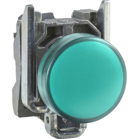 Schneider Electric XB4BVB3 Meldeleuchte   Grün 24 V/DC, 24 V/AC 1 St.