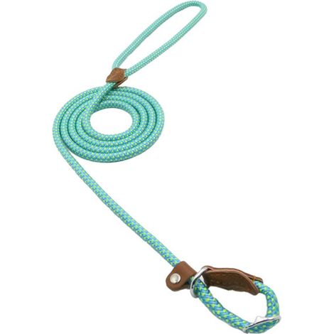 Laisse pour chien, 150 cm, bleue, taille XL (1/5)