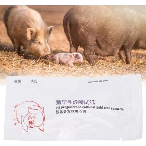 Papier test grossesse truie – jetable – diagnostic – porc (1/5)