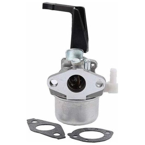 Carburador 696065 compatible con Briggs & Stratton 696065 697422 110402-0206-E1 (1/4)