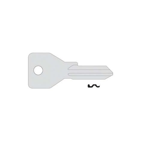 Chiave 4 Spine Grandi 01070051 (tipo Silca CS120) Cisa 10 Pezzi