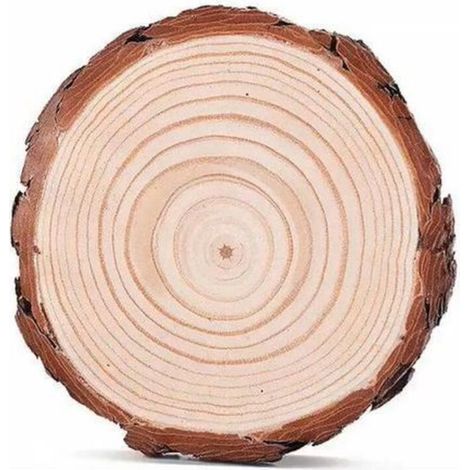 12PCS Tranches de Bois Naturel 10 11cm Épaisseur de 10mm, Rondelle Rond en Bois Rustique pour Artisanat Bricolage Décoration Murale (1/5)
