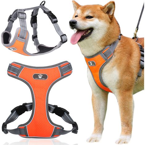 Arnés de entrenamiento Astro naranja para pasear perros, talla L (1/5)