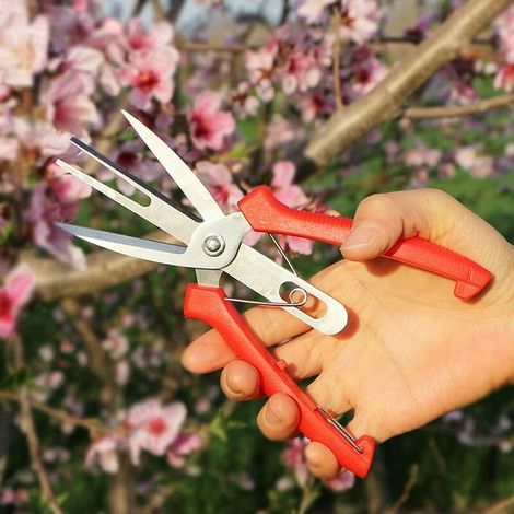 Ahlsen Tijeras para adelgazar frutas y flores Tijeras de podar de doble puerto con mango cómodo, perfectas para podar plantas, hierbas hidropónicas y recoger flores. (1/5)