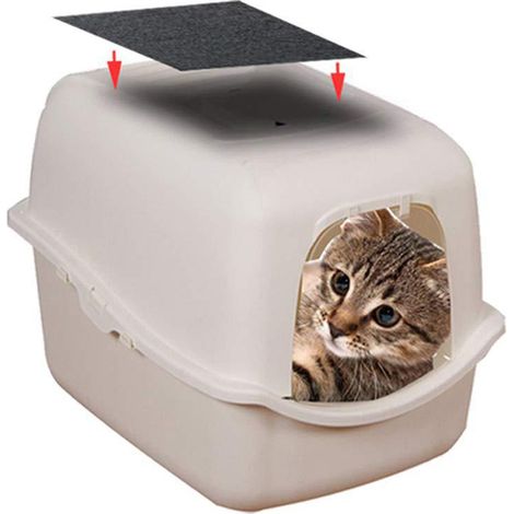 6 Stück Katzenstreufilter für Kätzchen, Aktivkohlefilter gegen Gerüche (1/5)