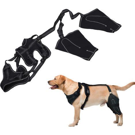 Genouillère arrière pour chien - Élastique et respirante - Sangle ajustable avec bandes antidérapantes - Idéal pour chiens actifs ou âgés (1/4)