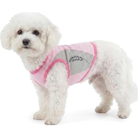 Kühlshirt chien, Hundekühlweste été Uv-Schutz Shirt Atmungsaktive Kühljacke Leichte Sonnenschutz-Bekleidung(rose (1/5)