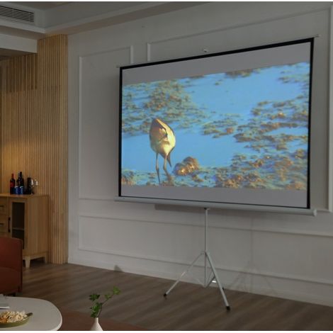 Projektionsleinwand 4:3, 100 Zoll, faltbar, weiß, OKMYHOME (1/5)