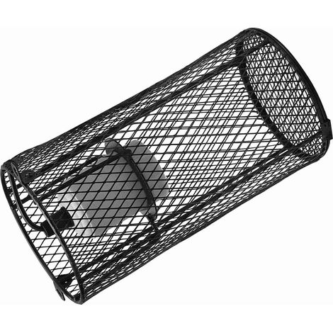 Lampe chauffante en céramique pour reptiles avec support anti-chaleur pour serpents, lézards et tortues (1/5)