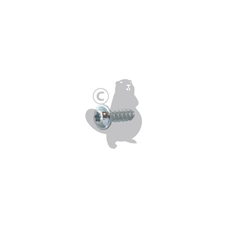 Vite testa cruxiforme 5 x15mm GGP - CASTELGARDEN 112728686/0