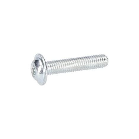 Vis a tete bombee torx pour Taille-Haie BOSCH OUTILLAGES - 2609005695
