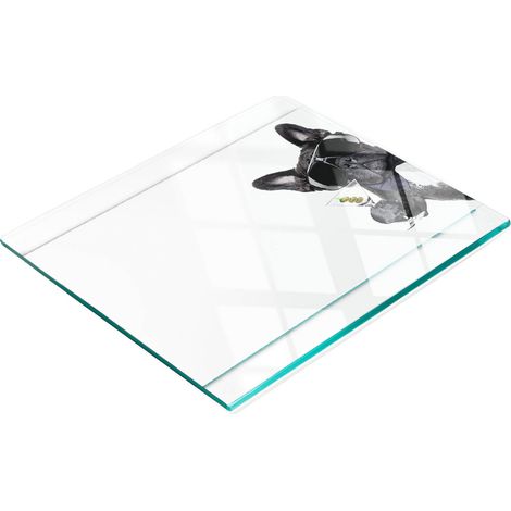 Piatto da cucina multifunzionale decorativo in vetro con scritta "Martinim Dog" 60x52 cm (1/5)