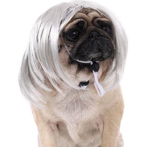Wig Pour Animal - Accessoire Tête Pour Chien Et Chat - Fixation Avec Ceinture Réglable - 8 Couleurs Disponibles - 1 Pièce (1/3)