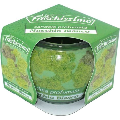 TrAdE Shop Traesio - Set 2pz Candela Profumata Al Muschio Bianco In Vasetto Vetro Decorato Ambienti 85gr 473793 -