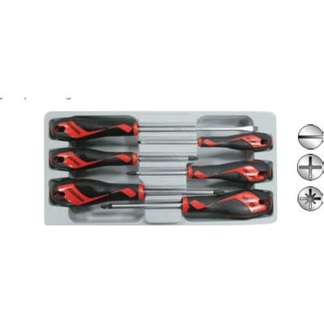Juego 6 destornilladores  MD906N TENGTOOLS (1/2)