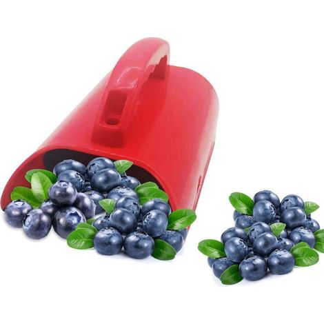 Outil Classeur Cerises - Outil De Récolte De Fruits Avec Poignée Ergonomique Et Peigne Râteau Bleuets Pour Récolte Fruits Feuilles Jardin (1/5)