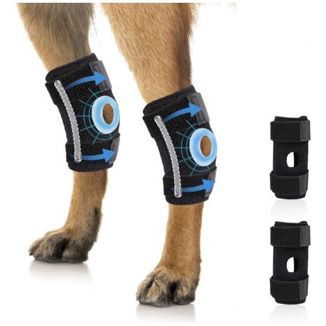 QORVA-Supports de pattes de chien noirs, 12,514 cm, 2 pièces, taille L, orthèses articulaires et de genoux pour la rééducation. (1/5)