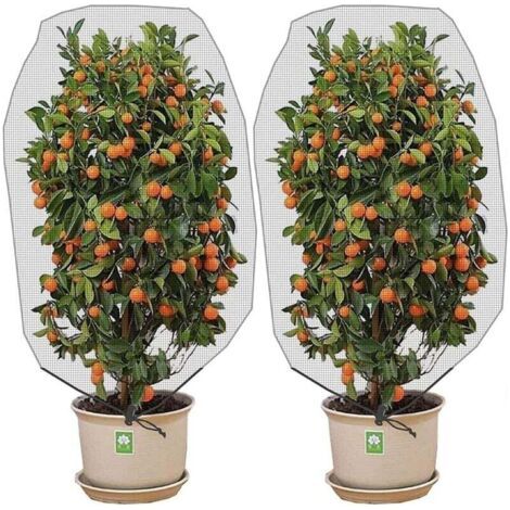 Green Mobility-Lot de deux filets anti-insectes et anti-oiseaux avec cordon de serrage - 150 x 100 cm - Protège les plantes de jardin, les fruits, les agrumes et les fleurs des insectes et des oiseaux (1/4)