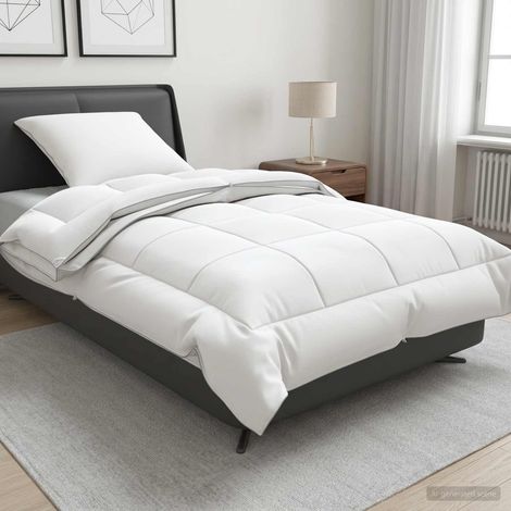 vidaXL Ensemble de couette et d'oreiller 2 pcs 137x200 cm 4 saisons (1/5)