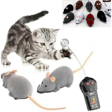 1 télécommande sans fil en forme de rat pour chat ou chien - Jouet original pour animaux de compagnie (1/5)