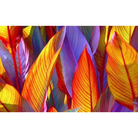 Tableau fleurs feuillage orangée - 80x50 cm (1/5)