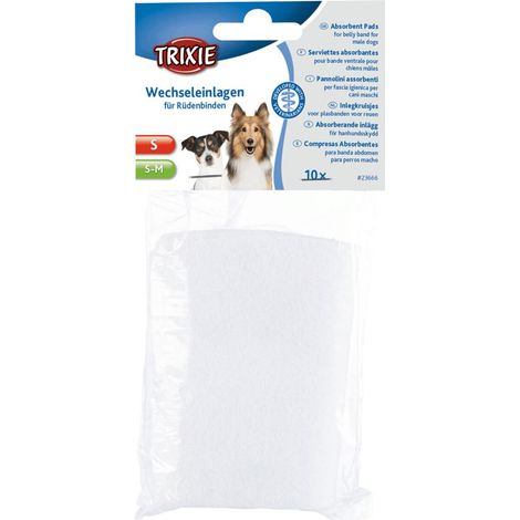 Taglia XL: Inserti assorbenti per fascia igienica Offerta Set 4 Confezioni x 40 pezzi (1/2)
