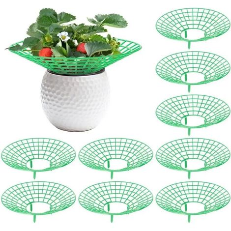 (B) 5 supports verts pour fraisiers et pastèques, protège-plantes à 3 pieds, accessoires de jardinage faciles à monter