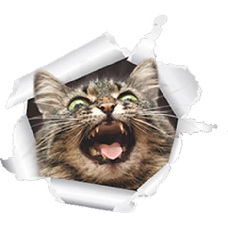 Katzen-Toiletten-Aufkleber, 3D-Wanddekoration, Haustier-Wahl, abnehmbarer PVC-Aufkleber