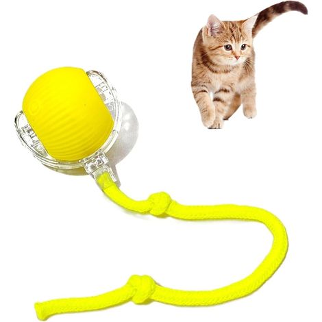 Balle interactive chat avec queue, activée mouvement pour chats d’intérieur (1/5)