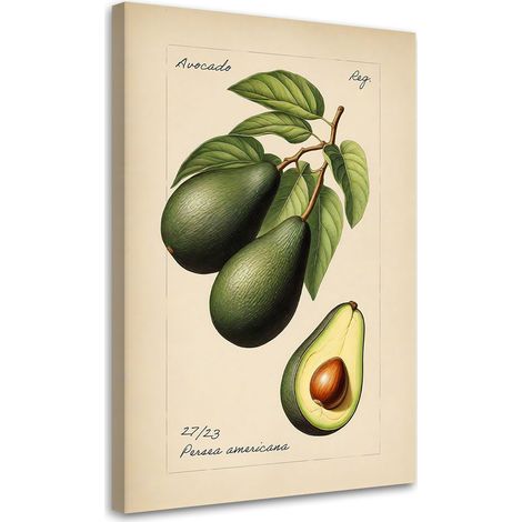 Tableau sur toile Tableau sur toile Fruits Vintage Avocat 40x60 (1/5)