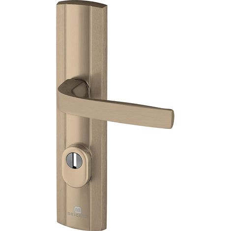 1 - Poignée Blindée - Plaque de Protection - Porte d&39Entrée - Anti-arrachage et Anti-perçage - Cylindre Européen - Ambre - 242x52cm (1/2)