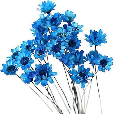 30 fleurs séchées à faire soi-même