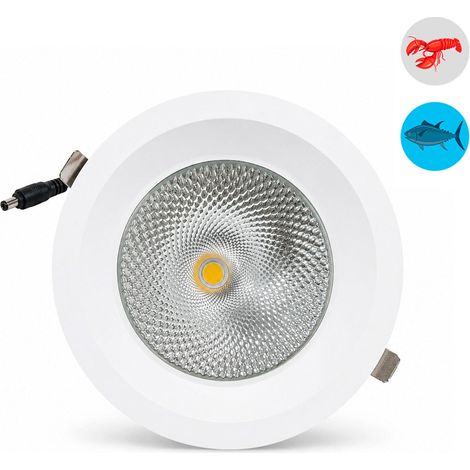 Downlight LED Empotrable - Chip Especial Para Pescaderías - (1/5)