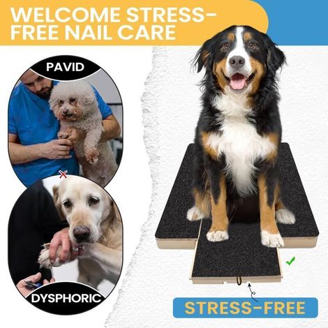 Tampon à gratter pour pattes de chien - Lime à ongles pour animaux de compagnie, planche à découper, grattoir, tondeuse (1/3)