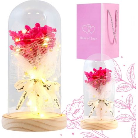 Ramo de gypsophila rosa bajo una cúpula de cristal con iluminación LED ROZ23