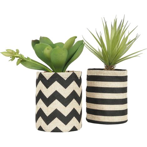 Succulentes dans pot en toile de jute 26 cm (Lot de 2)