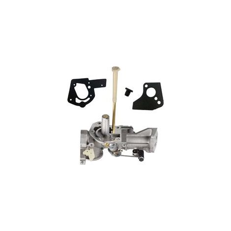 Carburateur pour motoculteur – Remplacement Briggs et Stratton 498298, 692784, 495951 – Performance fiable pour jardinage (1/5)